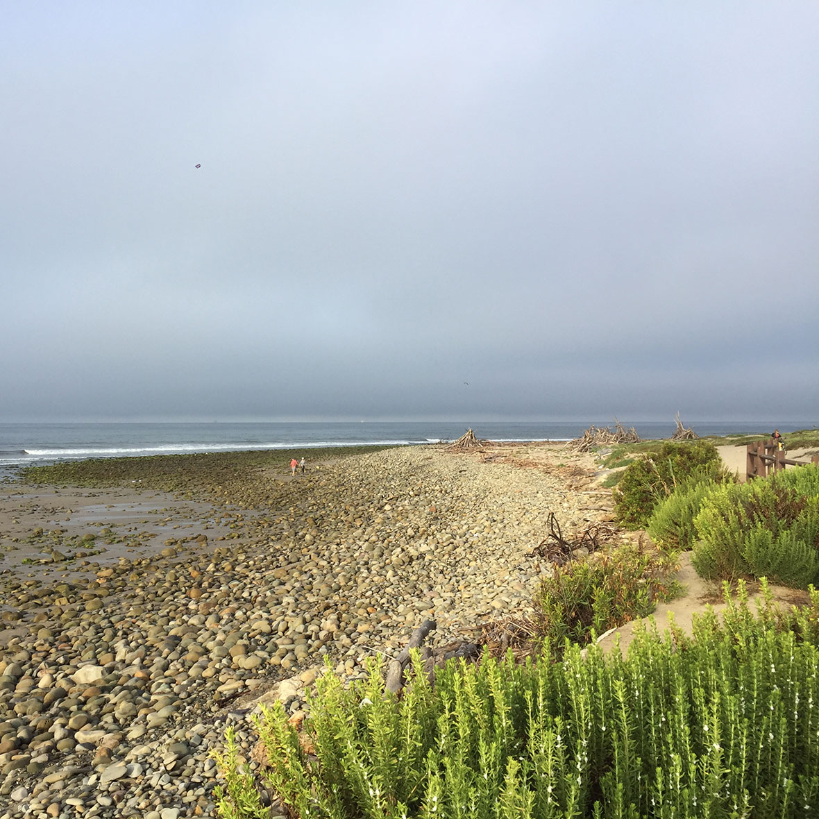 Surfers' Point: Surfrider and Coastal Resilience