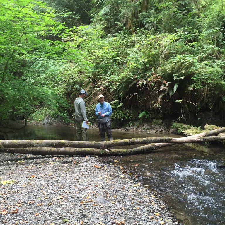 Blackjack Creek Watershed Assessment & Restoration Plan — Environmental