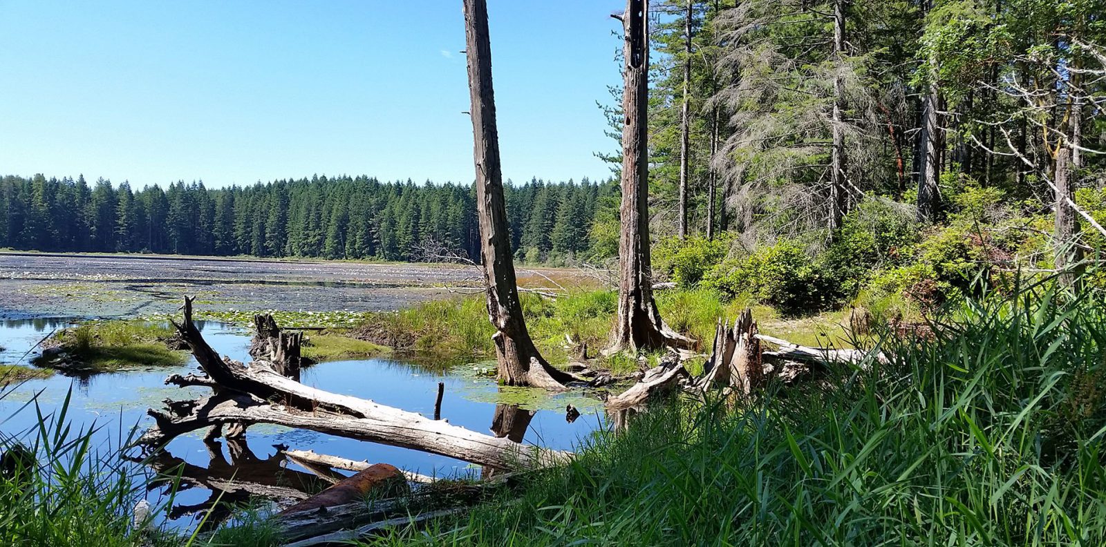 Blackjack Creek Watershed Assessment & Restoration Plan — Environmental