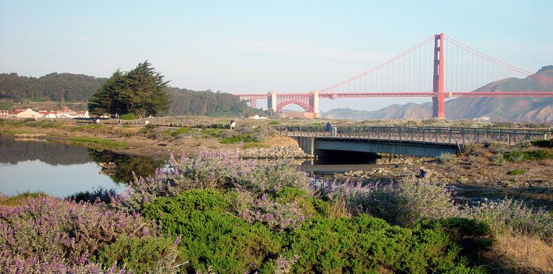 Photo for Celebrating 20 Years After Crissy Field’s Habitat Restoration
