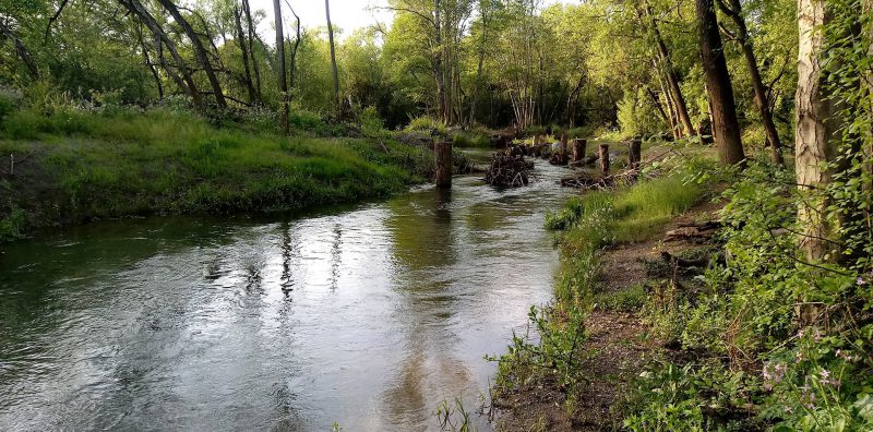 Photo for Dry Creek Gets Drenched: Lessons Learned after Intense Storm Events in Northern California
