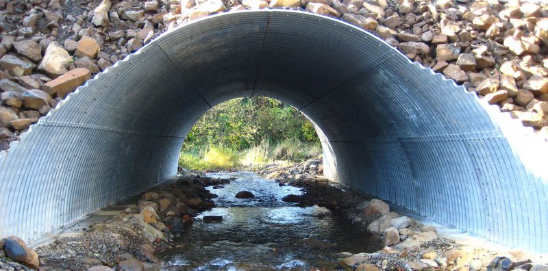 Photo for Fish Passage Projects Offer Instant Relief for Fish in the PNW