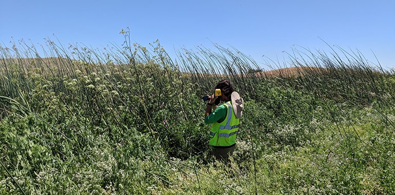 Field biologist with neon green safety vest standing in a field of tall grass