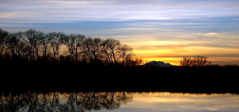 Photo for Finding Common Ground to Advance Restoration in California’s Delta and Beyond