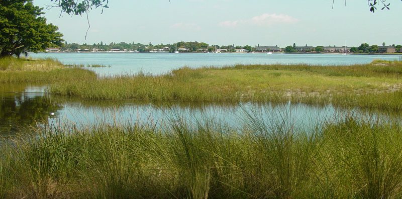 Photo for Taking Funding for Granted: Resources for Restoration Projects