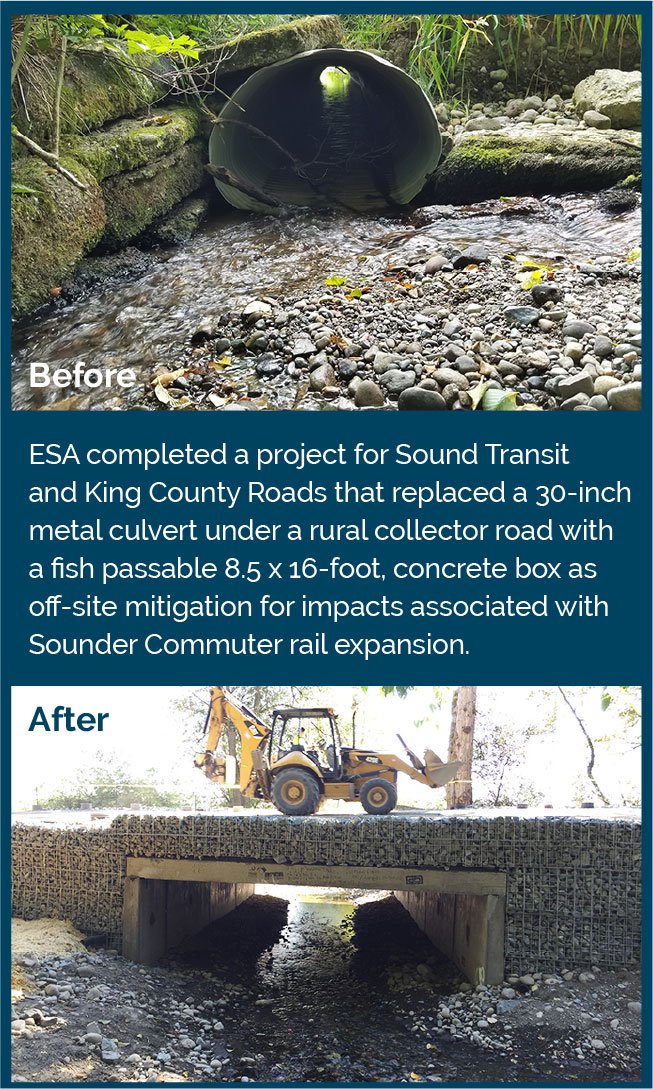 Before photograph of a small culvert with limited water flow and fish access and an after photo showing a newly constructed roadway overpass and improved fish passage culvert underneath.