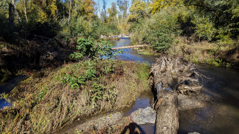 Photo for Designed and Delivered: Dry Creek Habitat Enhancement CAP Project