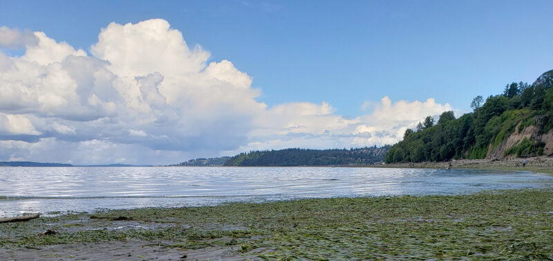 Photo for Reversing the Tide – Guiding Puget Sound Restoration Efforts to Save Migrating Salmon