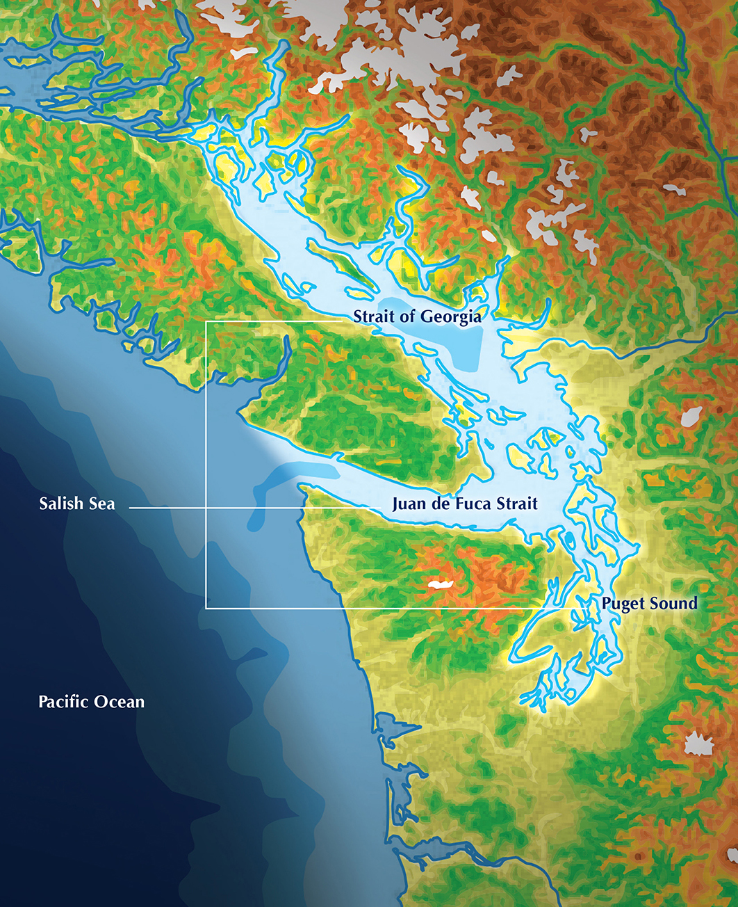 Reversing the Tide: Guiding Puget Sound Restoration Efforts to