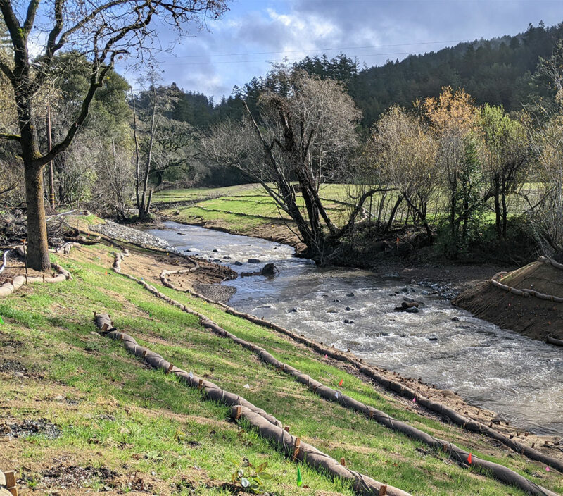 San Geronimo Creek Restoration Project — Environmental Science Associates