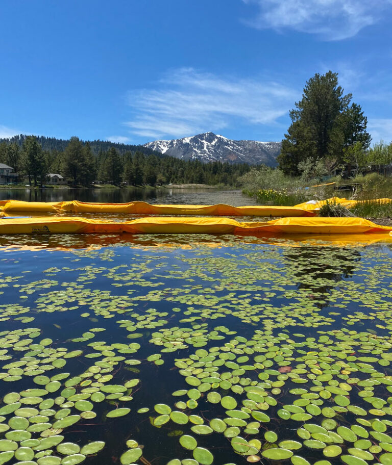 Tahoe Keys Lagoon Aquatic Weed Control Methods Test (CMT) Monitoring