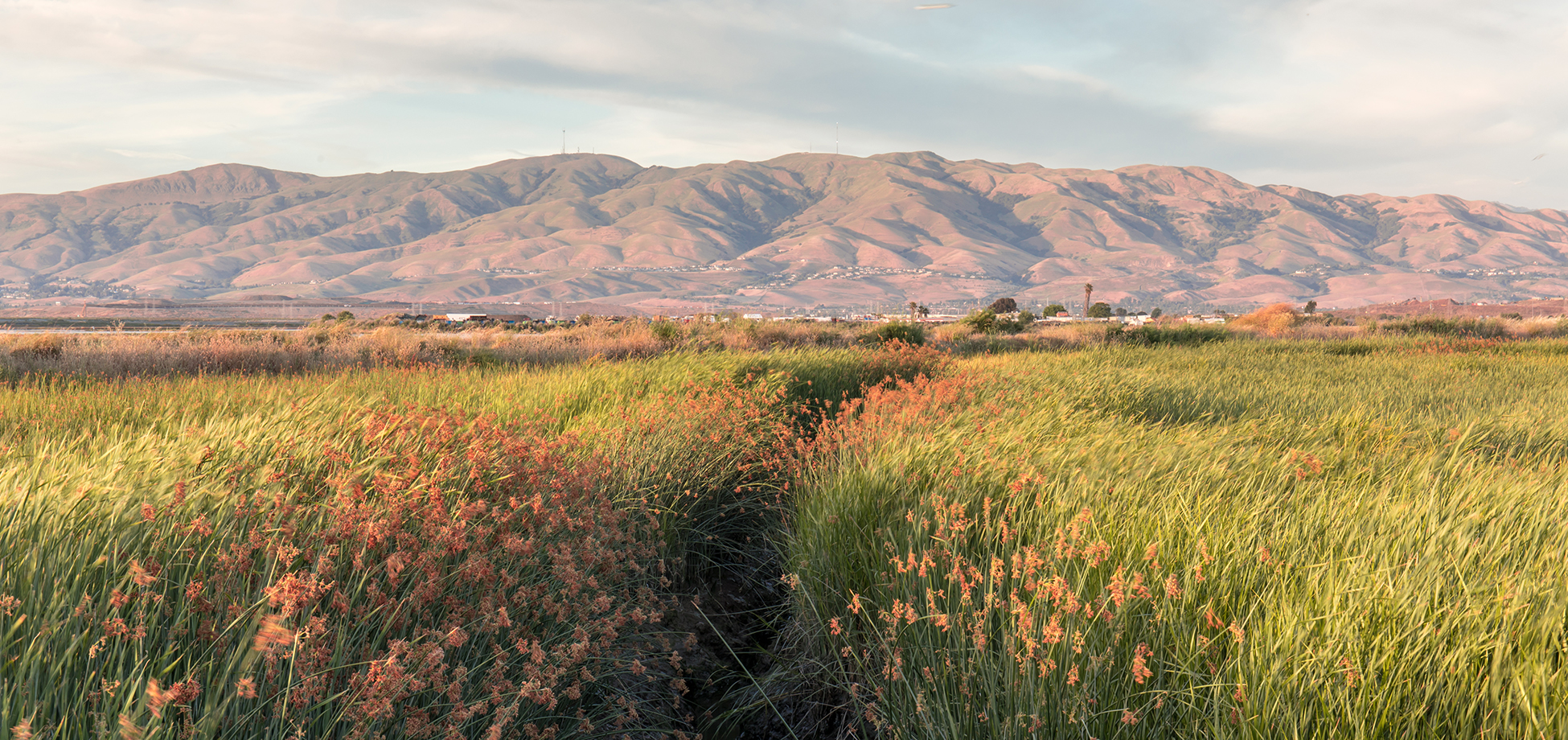 Cutting Green Tape  California Landscape Stewardship Network