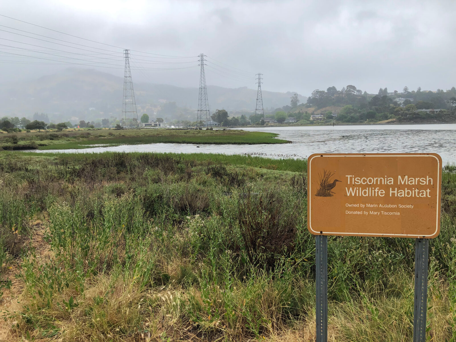 Tiscornia Marsh Tidal Habitat Restoration — Environmental Science ...