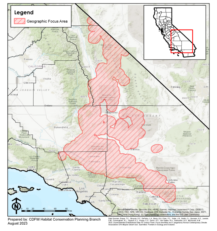 The Western Joshua Tree Conservation Act Permit Process