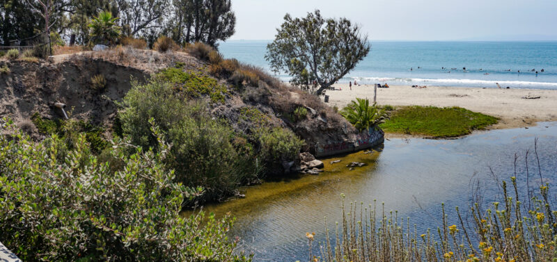Photo for Restoring Topanga Lagoon for the Environment and Community