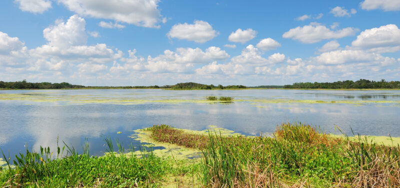 Photo for Florida’s Water Future: Navigating the Shifting Tides of SB 64