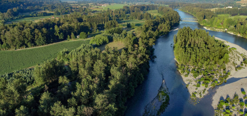 Photo for New Riparian Data Engine Empowers Science-Driven Restoration Across Washington