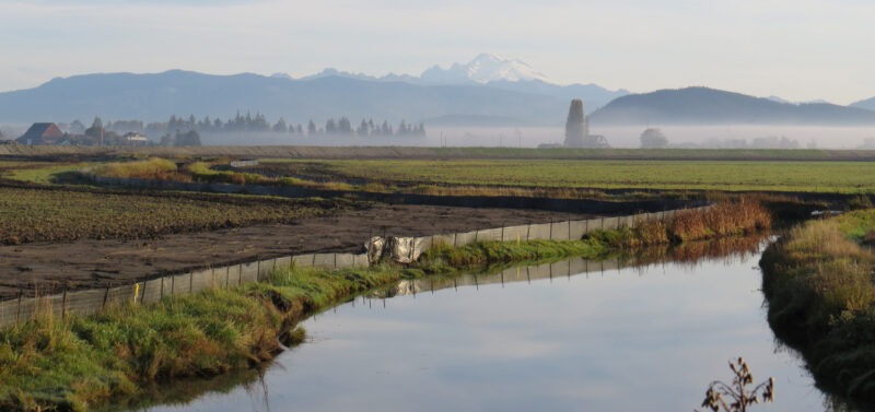 Photo for Join ESA at the 2025 Floodplain Management Association (FMA) Conference.