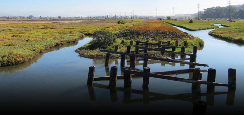 Photo for Join ESA at Our California Permitting Symposium