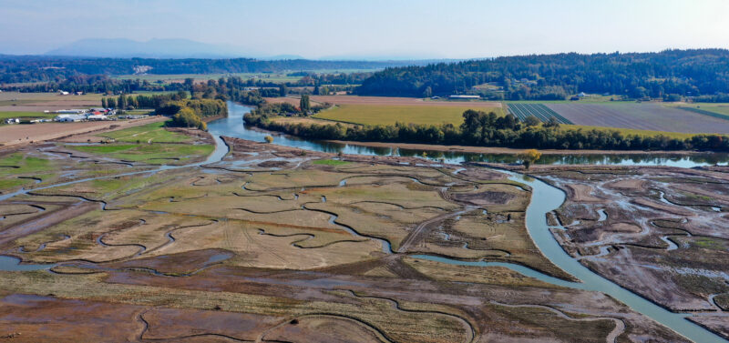 Photo for From Farmland to Floodplain: Rebuilding the Pacific Northwest’s Lost Estuarine Habitats