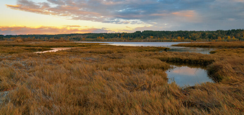 Photo for Proposed Update to Definition of WOTUS: Will Federally Regulated Wetlands Continue to Shrink?