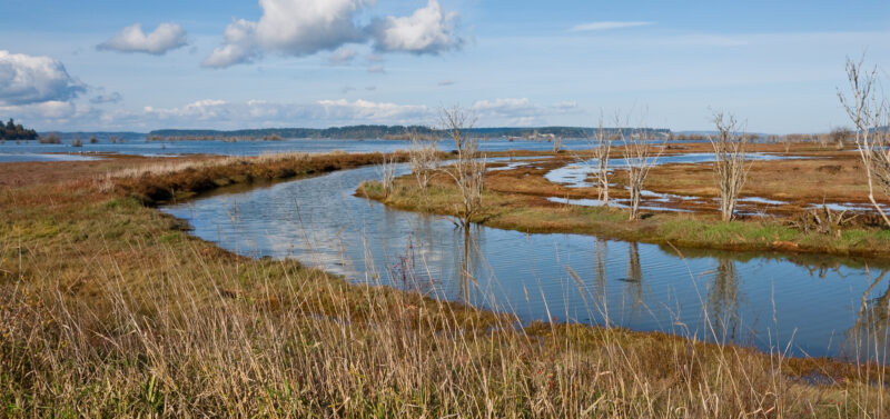 Photo for Proposed Revisions to Clean Water Act Section 401 Could Narrow State and Tribal Review