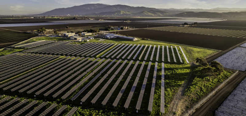 Photo for Where Solar Meets Soil: The Multi-Benefit Potential of Ecovoltaics and Agrivoltaics