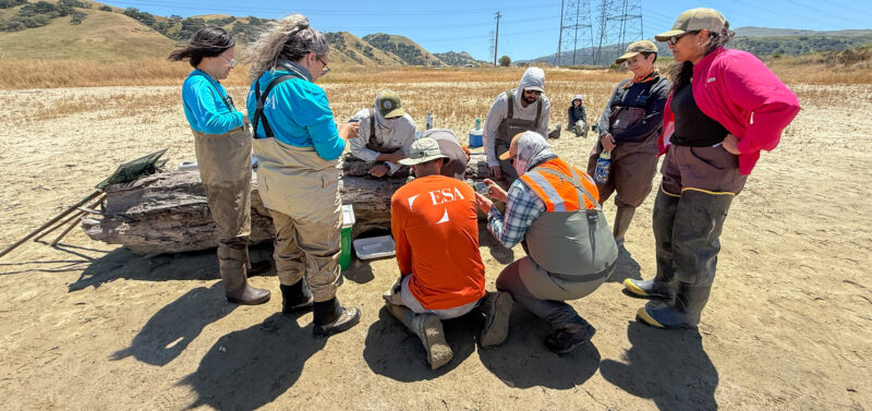 Photo for Field Lessons: Advanced Training Programs Deepen Wildlife Expertise