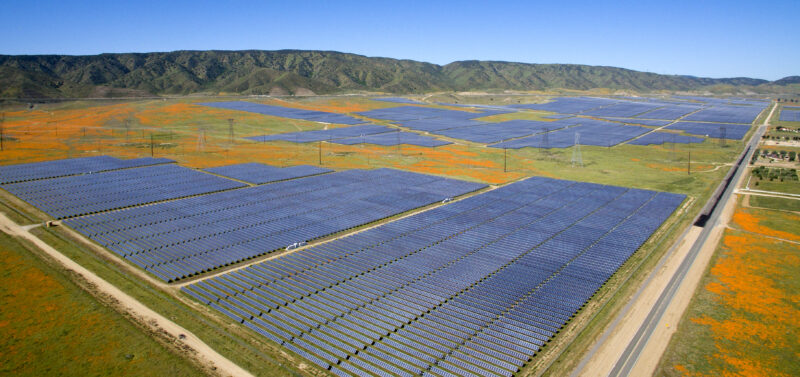 Photo for Why Solar Developers Should Evaluate Compensatory Mitigation Early